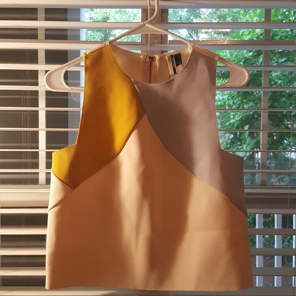 NWT TOPSHOP Color block top with Zipper back Sz 4